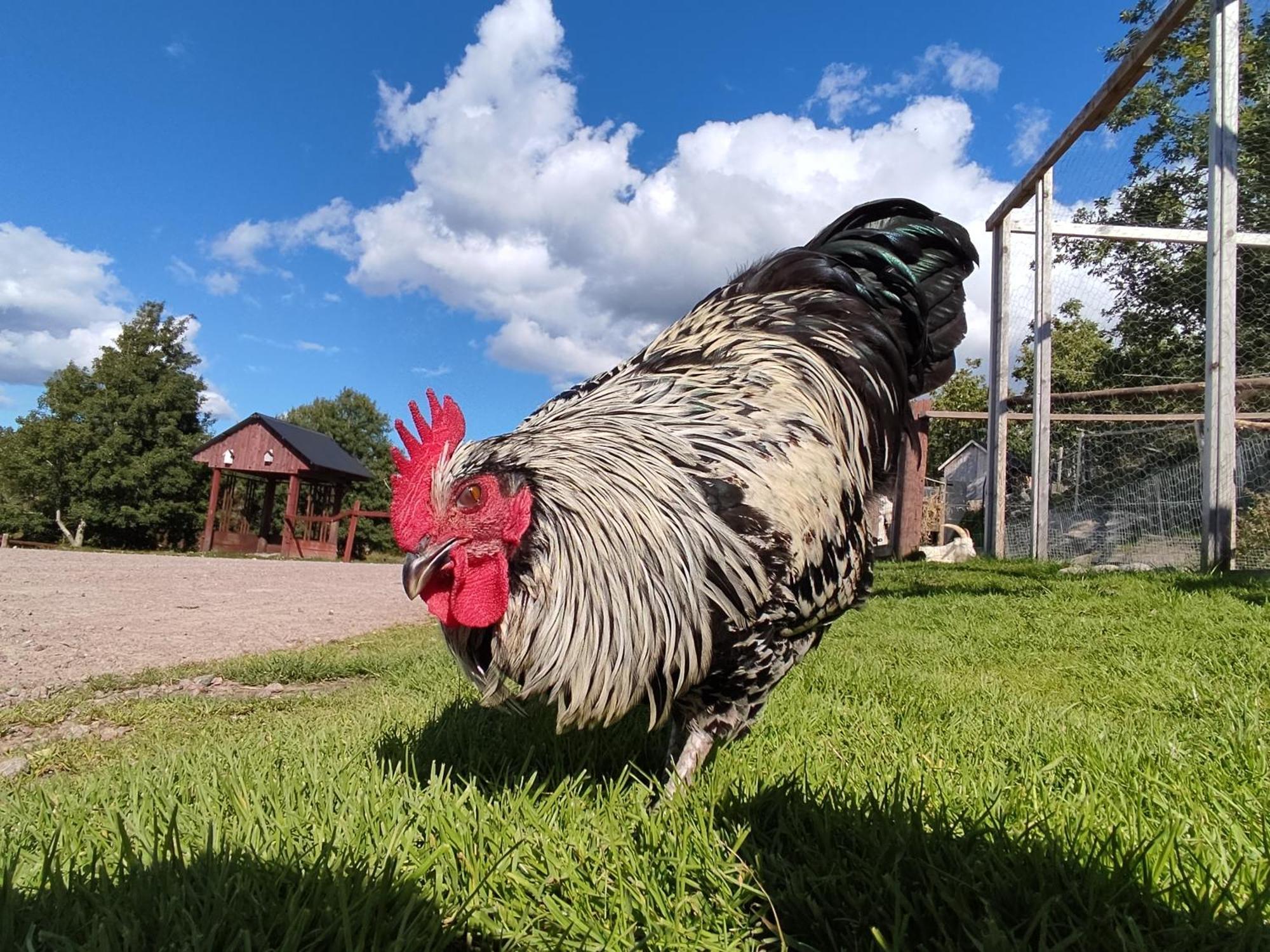 Toric Farmlodge Brastad Екстериор снимка